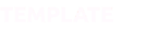 TEMPLATE 
